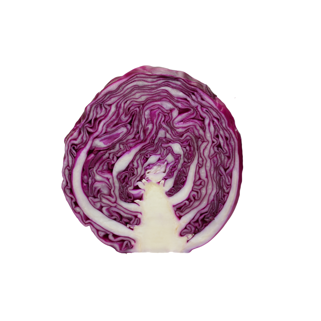 Cabbage Red 1/2