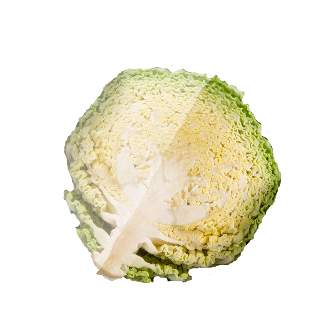 Cabbage Savoy 1/4