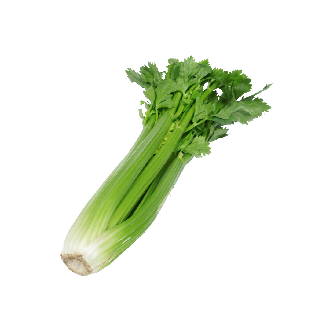 Celery WHOLE