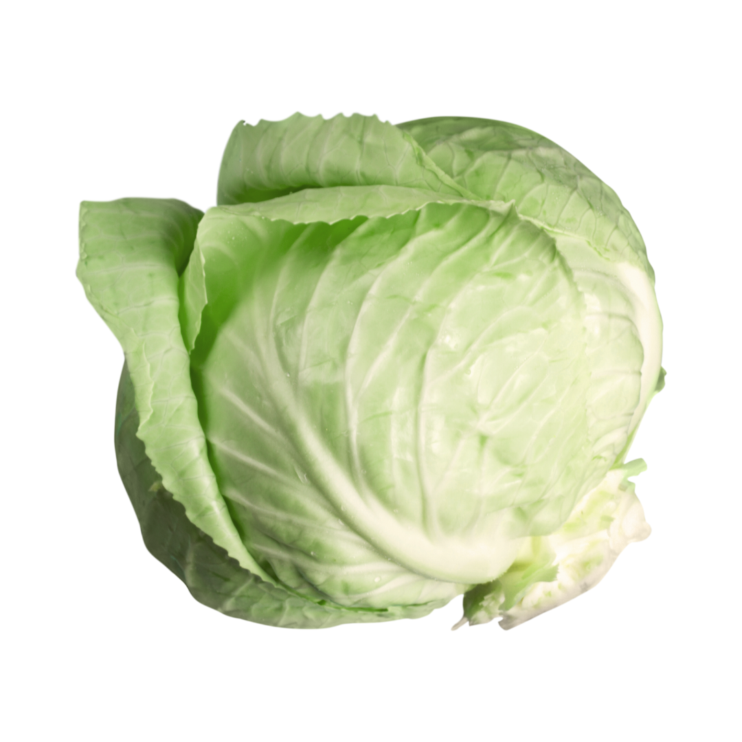 Cabbage Green WHOLE
