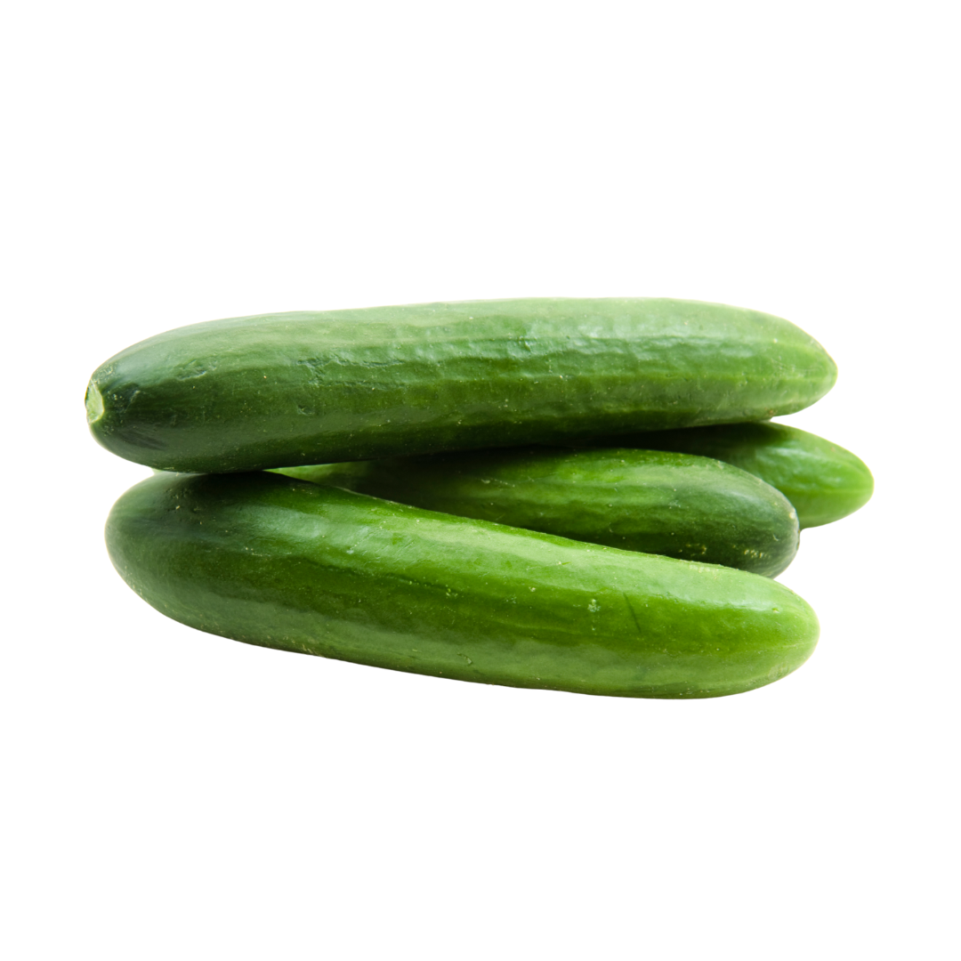 Cucumber Lebanese EACH