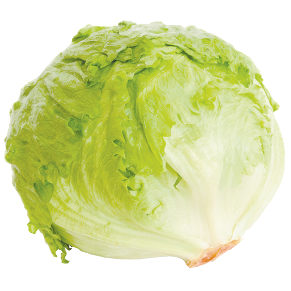 Lettuce Iceberg EACH