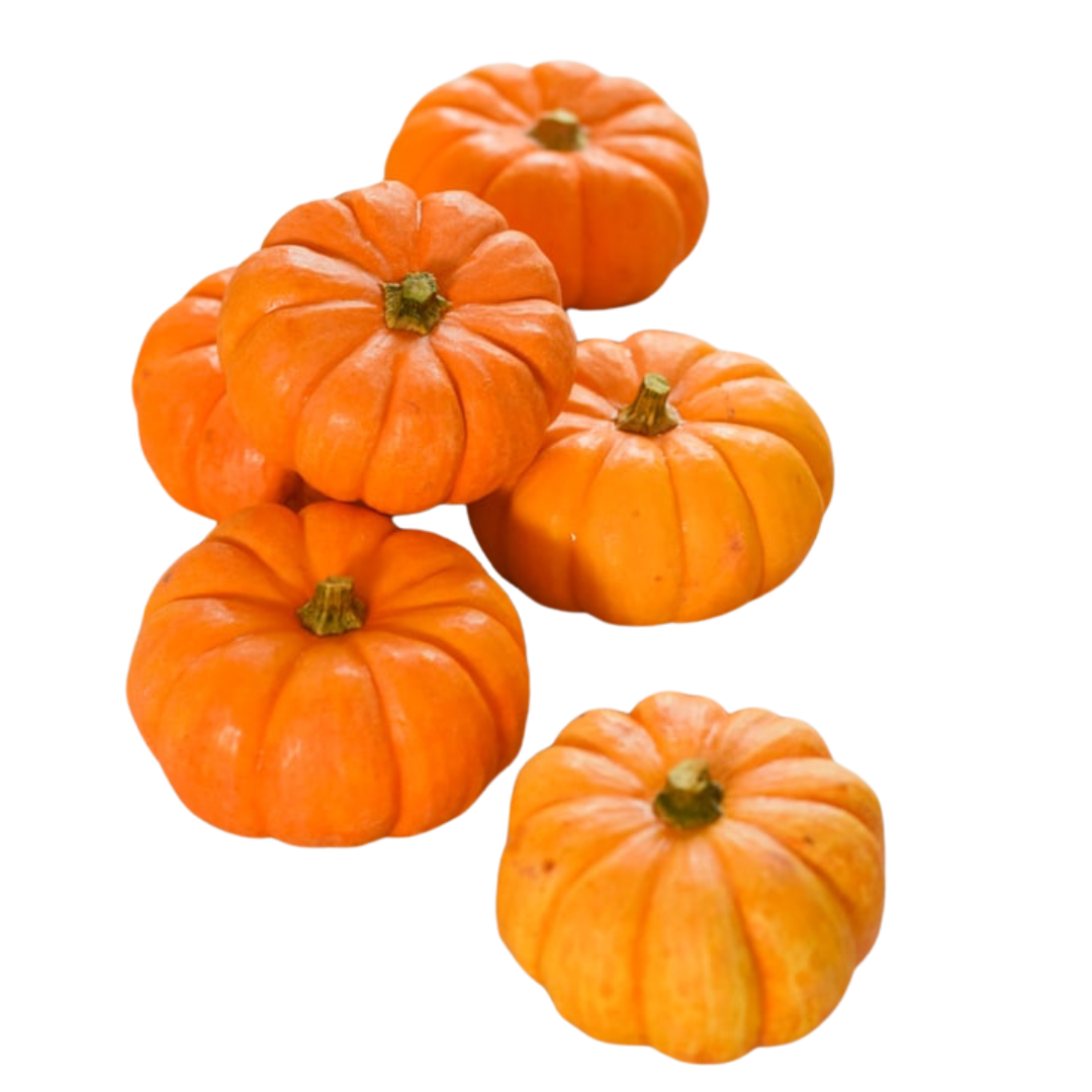 Pumpkin Mini Halloween EACH