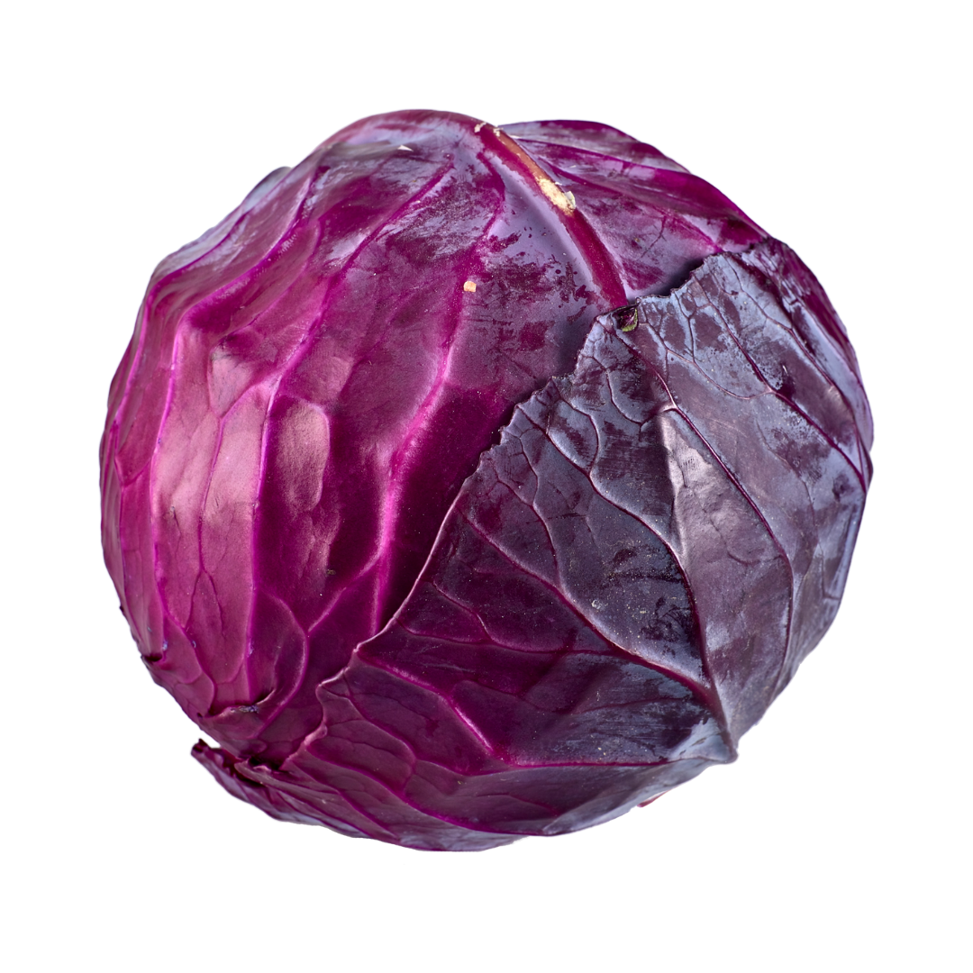 Cabbage Red WHOLE