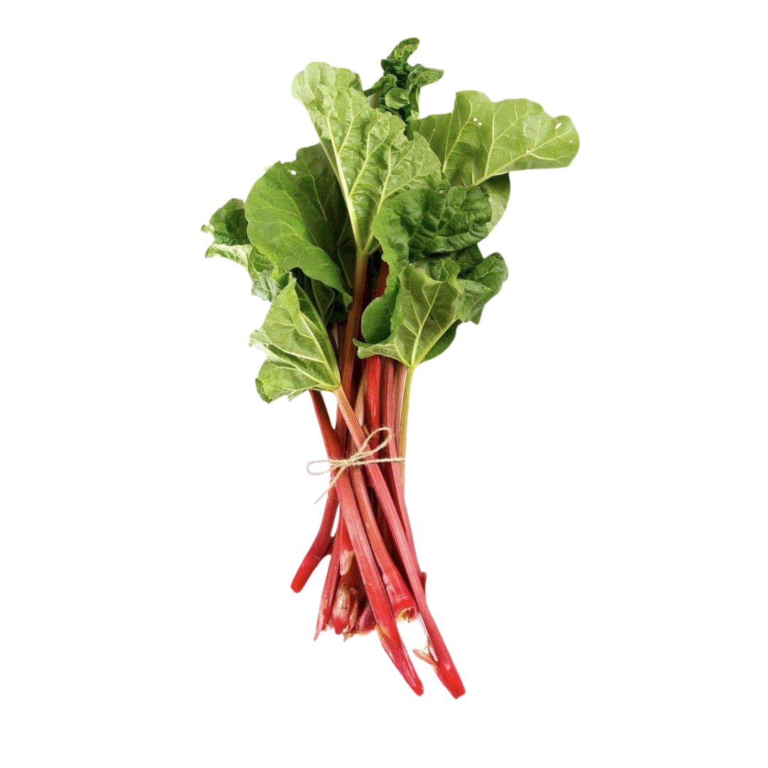 Rhubarb BUNCH