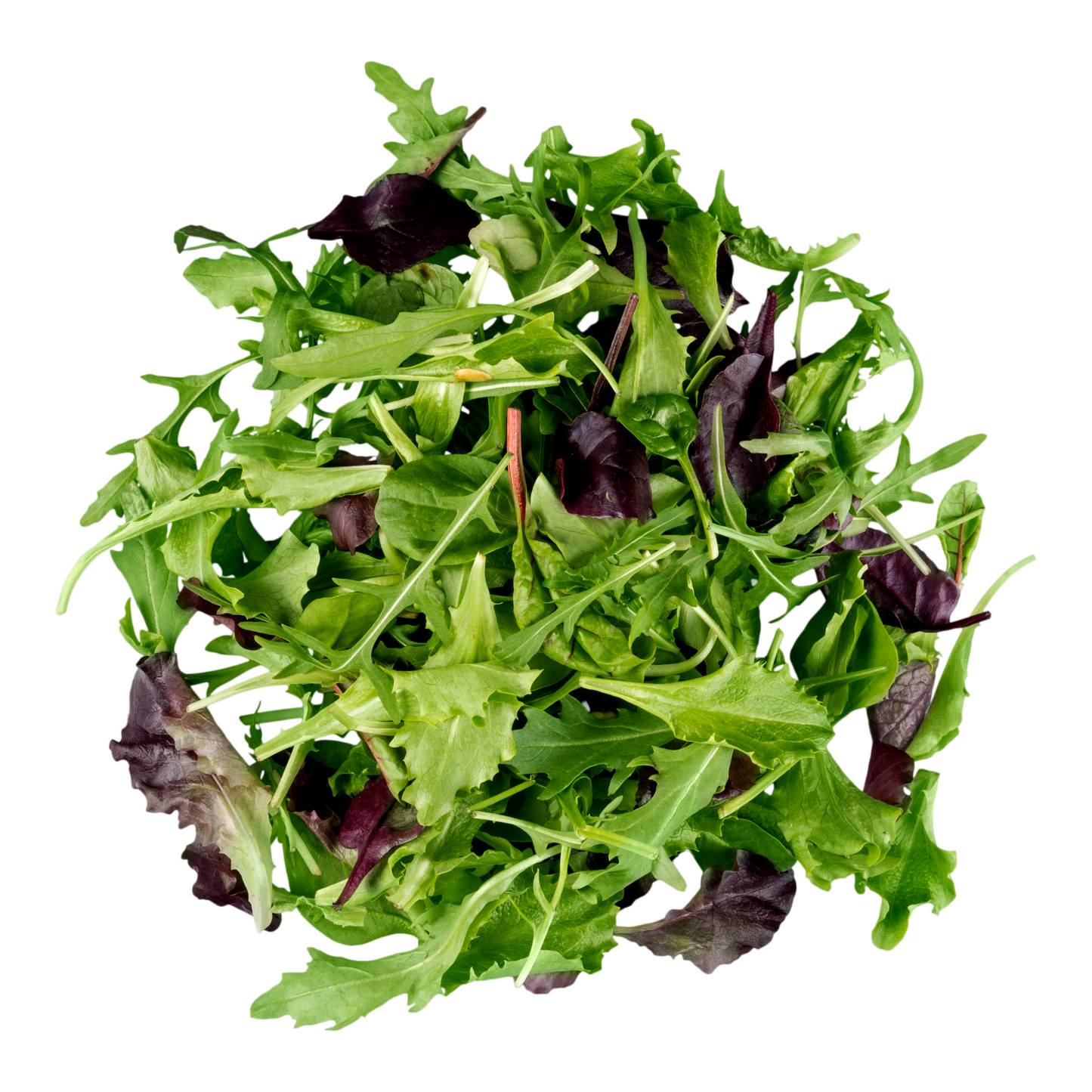 Lettuce Salad Mix 100G loose
