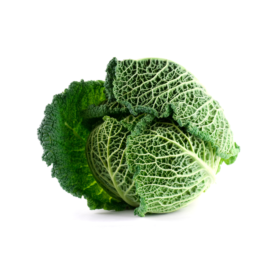 Cabbage Savoy WHOLE