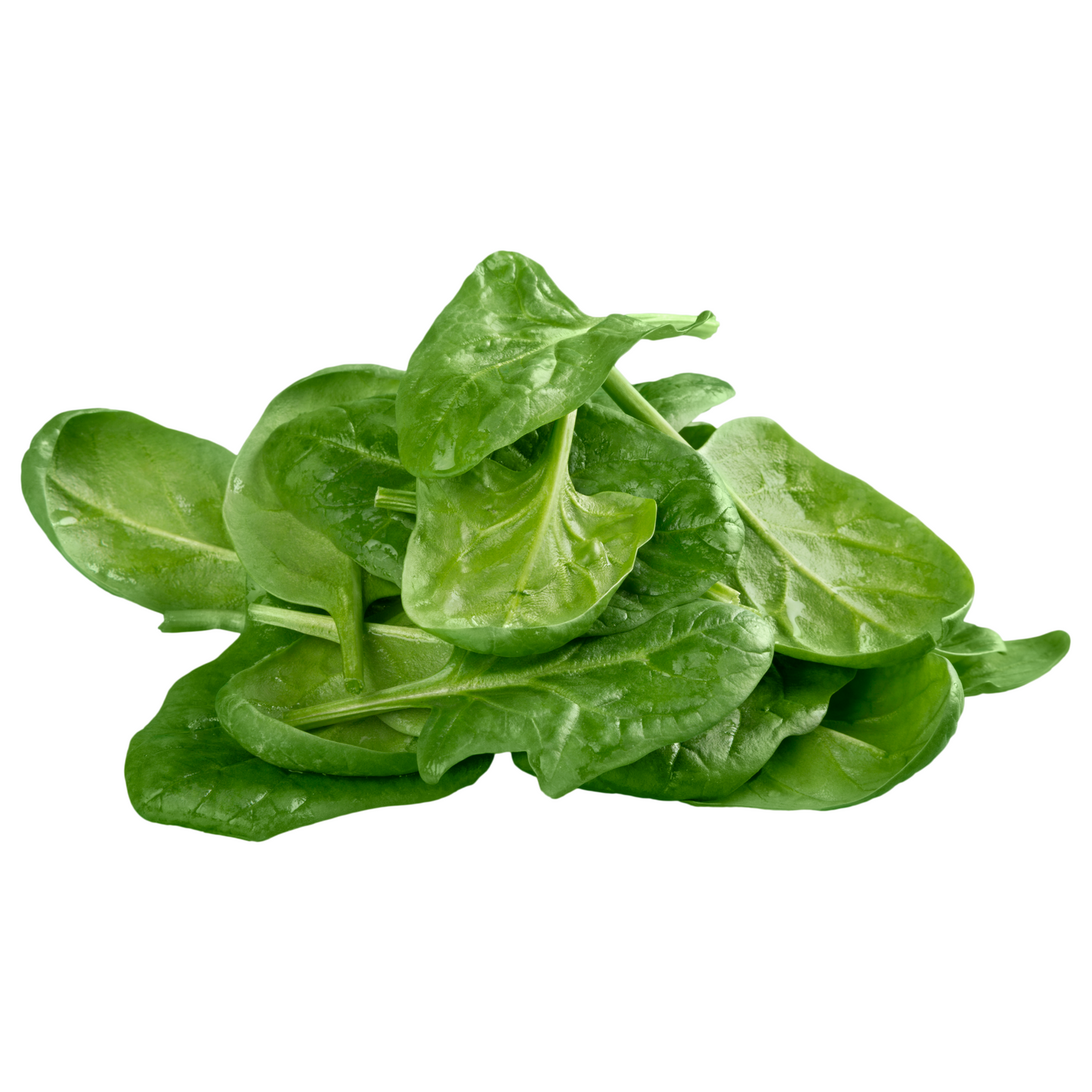 Lettuce Spinach 100G loose