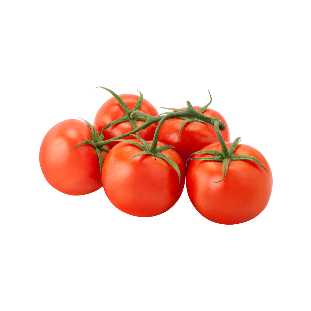 Tomato Truss EACH