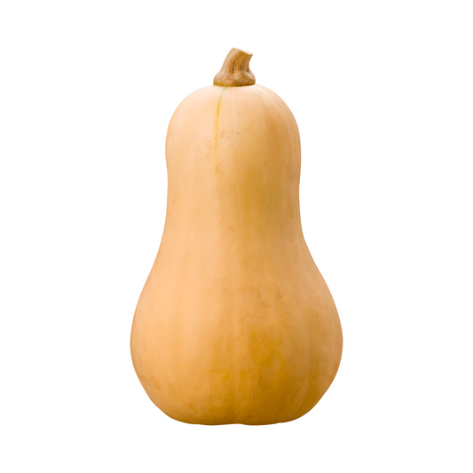 Pumpkin Butternut WHOLE