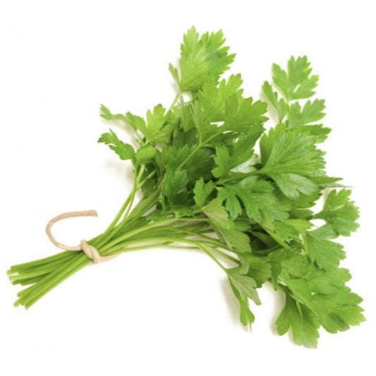 Herb Continental Parsley BUNCH