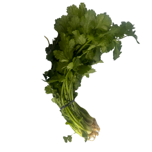 Herb Coriander BUNCH