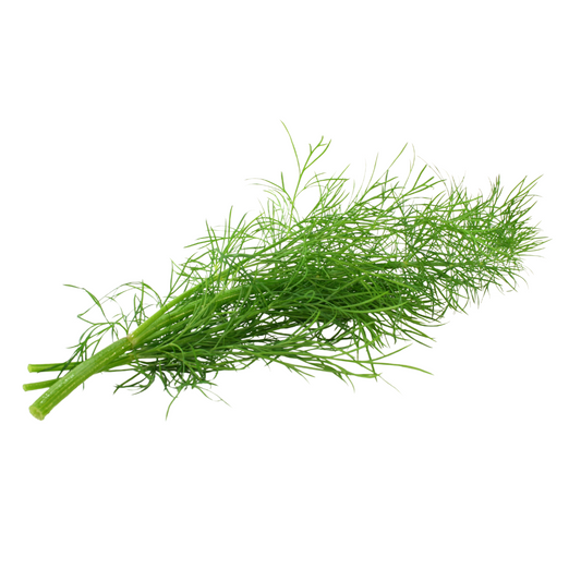 Herb Dill BUNCH