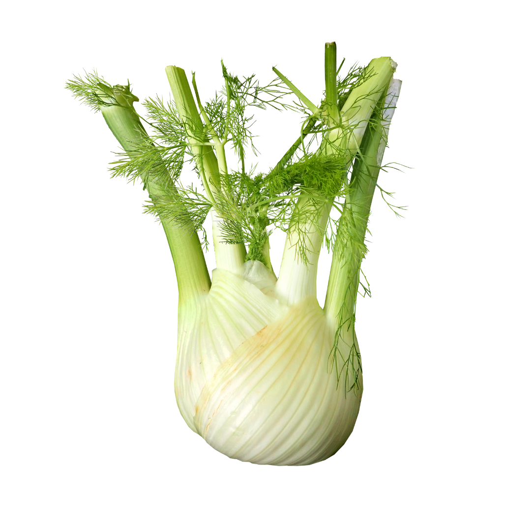 Fennel EACH