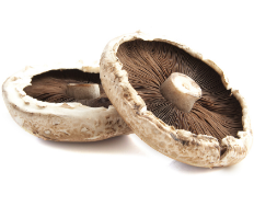 Mushroom Flat EACH
