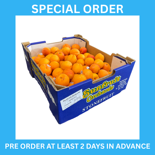 Apricots Jamming 10KG BOX