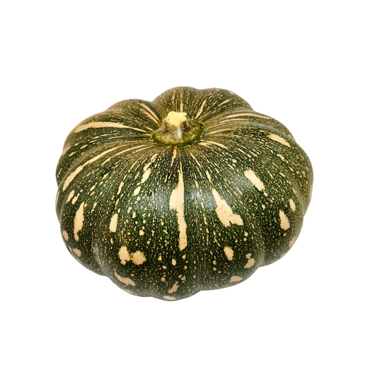 Pumpkin Kent WHOLE