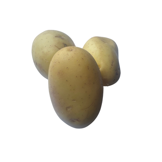 Potato Large Washed (for baked potatoes) EACH