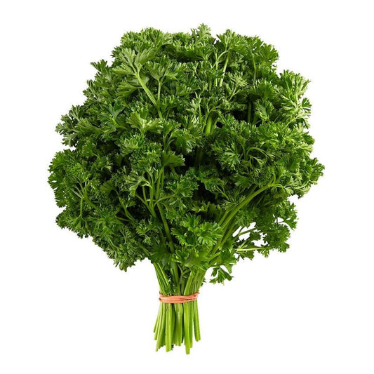 Herb Parsley BUNCH