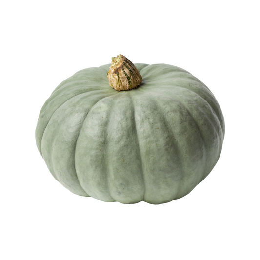 Pumpkin Grey WHOLE