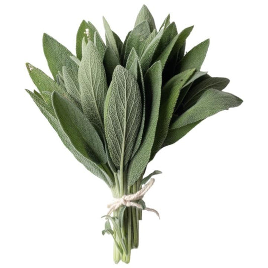 Herb Sage BUNCH