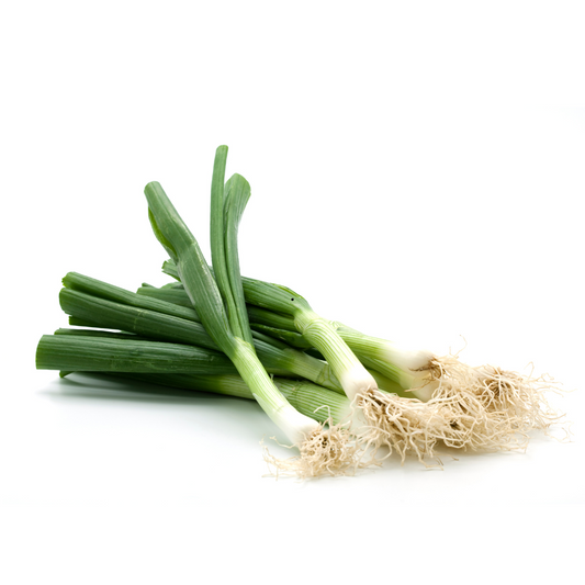 Onions Spring BUNCH